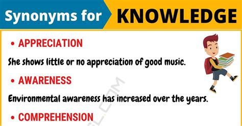 another word for knowledge|What is another word for knowledge .